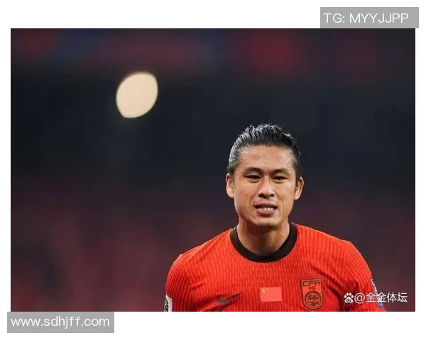 让人头疼的国足球星：从期待到失望的漫长旅程